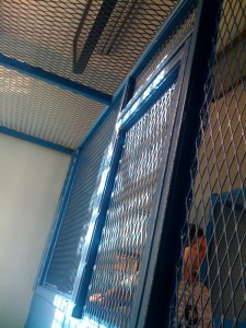 jail pic 